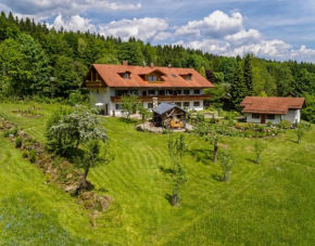 Гостиница Haus Jägerfleck, Ihre Ferienwohnungen am Nationalpark Bayerischer Wald  Шпигелау
